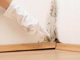 Why You Should Choose Our Mold Remediation Services in Deep River Center, CT